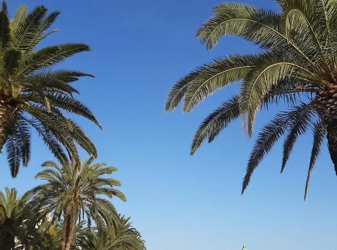 Sunshine- Center Of 斯普利特