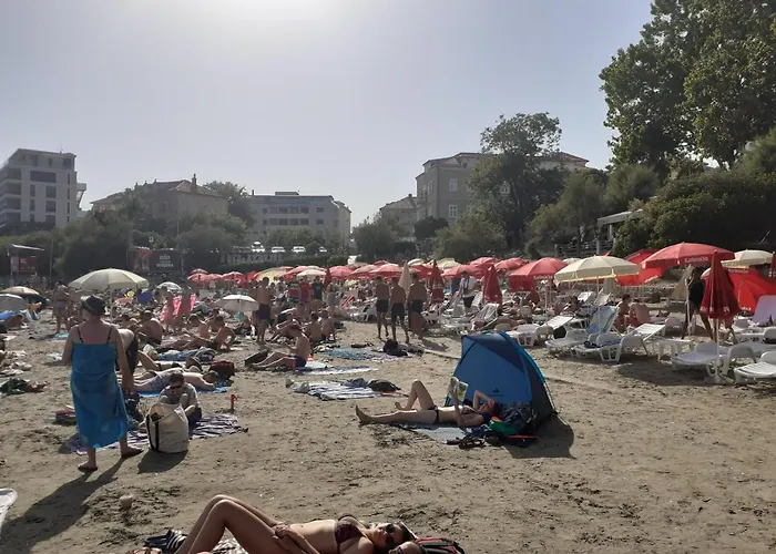 Sunshine- Center Of *