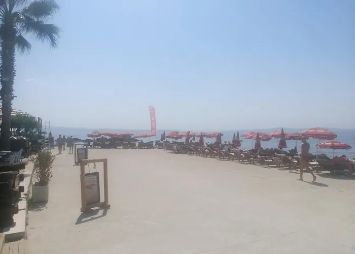 Sunshine- Center Of 公寓 *