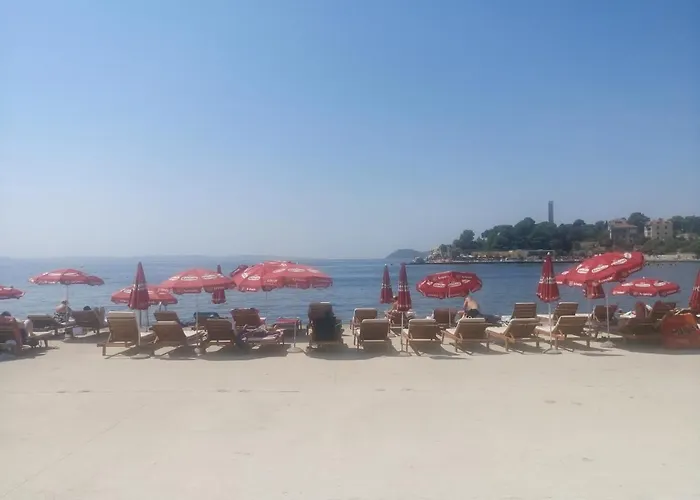 Sunshine- Center Of 公寓