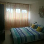 Apartment Sunshine- Center Of *